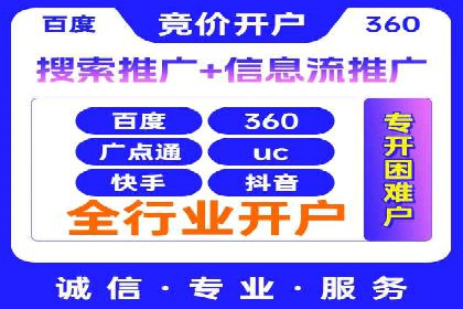 SEM服务公司成功案例解读